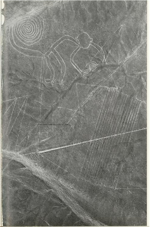 The photograph of the
                              Nazca monkey Maria Reiche used in her
                              work
