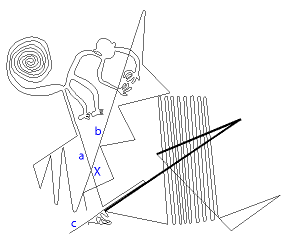 tracing of the monkey